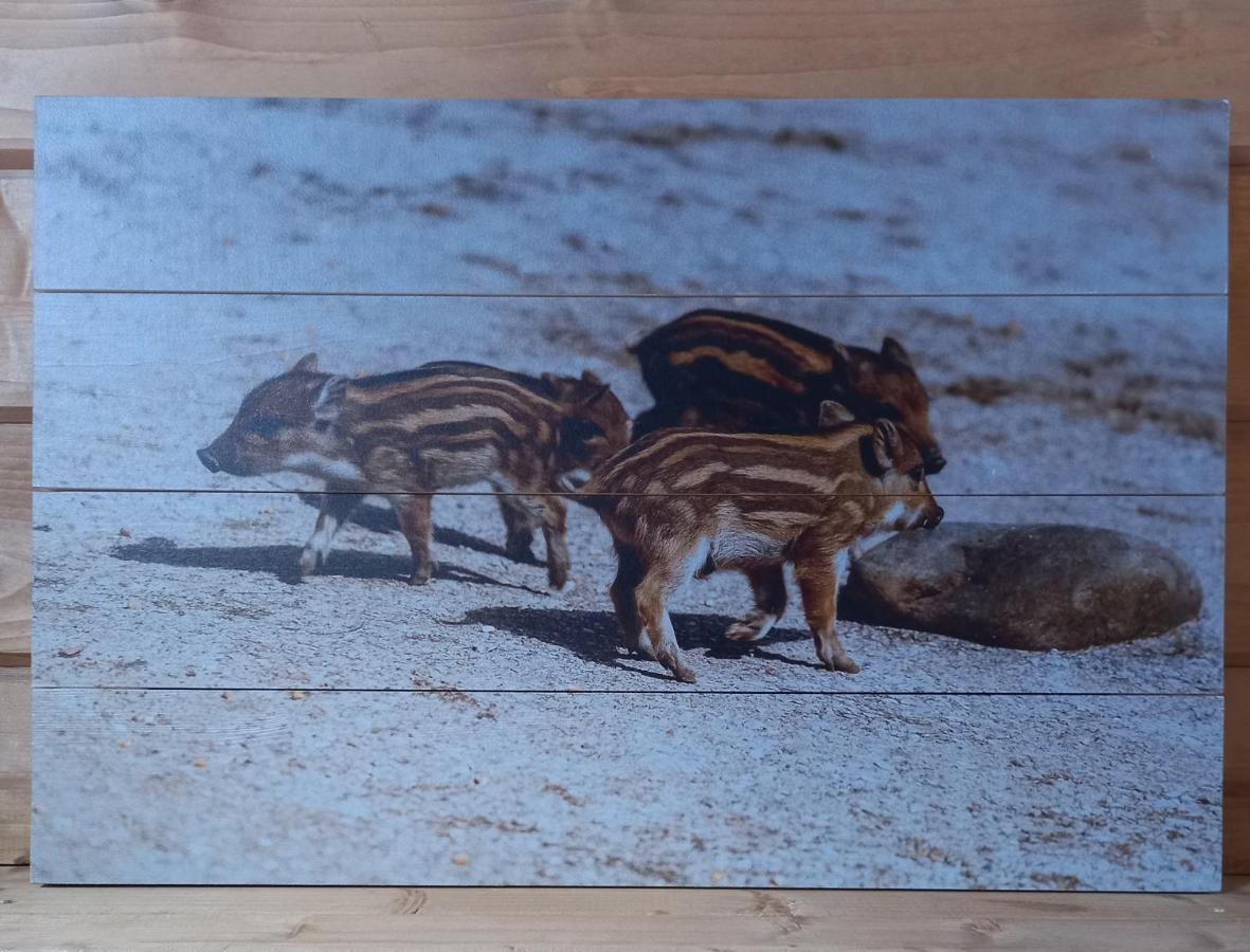 'T Zwientje Ermelo Esterno foto