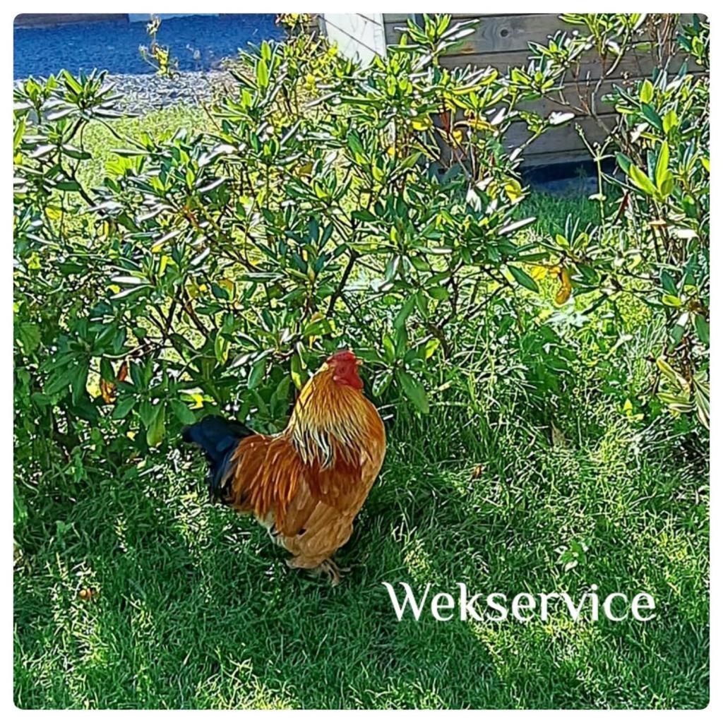 'T Zwientje Ermelo Esterno foto